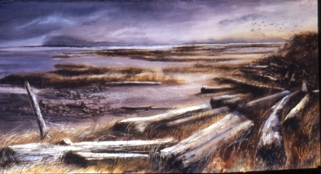 Weathered Shores