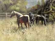 Lifes Dark Horses. Oil