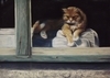 "Shadow Cat" Honourable Mention in the Fall FCA 2019 show